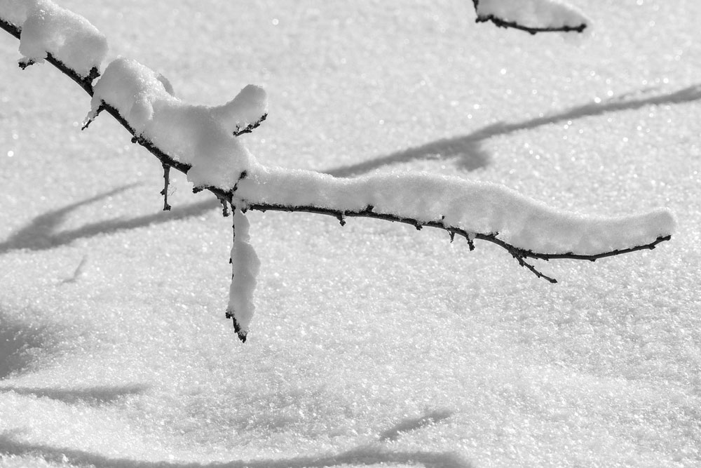 Похолодание придёт в Москву, Подмосковье и Питер на днях Погода в Москве и Санкт-Петербурге