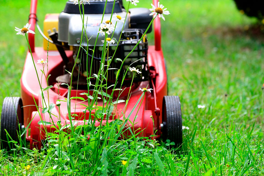 Аренда садовой техники и инструмента Садовая техника и инструмент