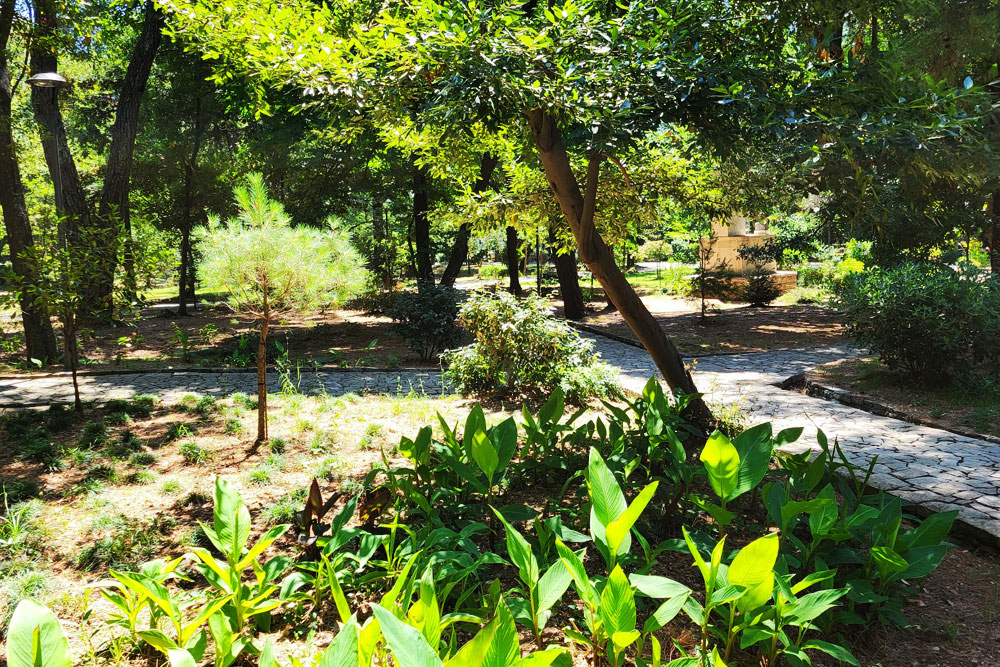 Ботанический сад в Тивате Капитанский сад